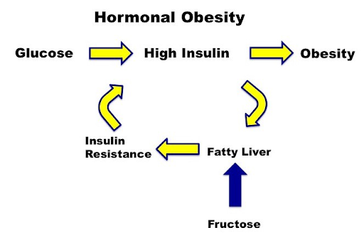 The A To Z Of Fructose And Diabetes Smit Fit